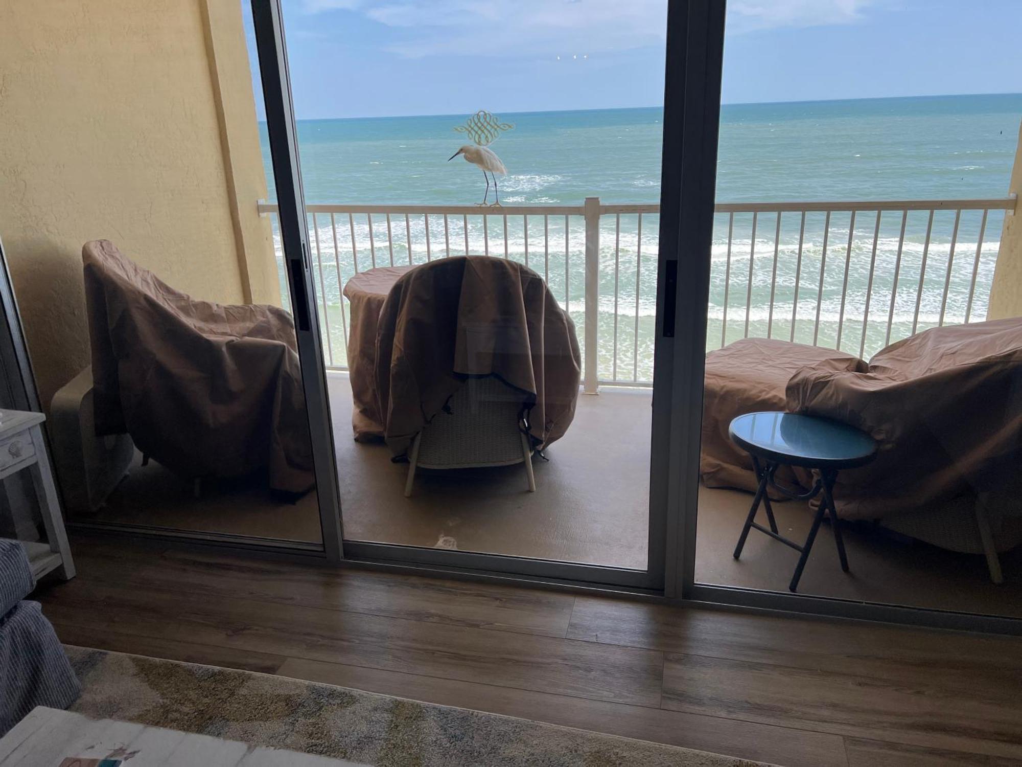 Ponce De Leon Towers Apartment New Smyrna Beach Exterior photo